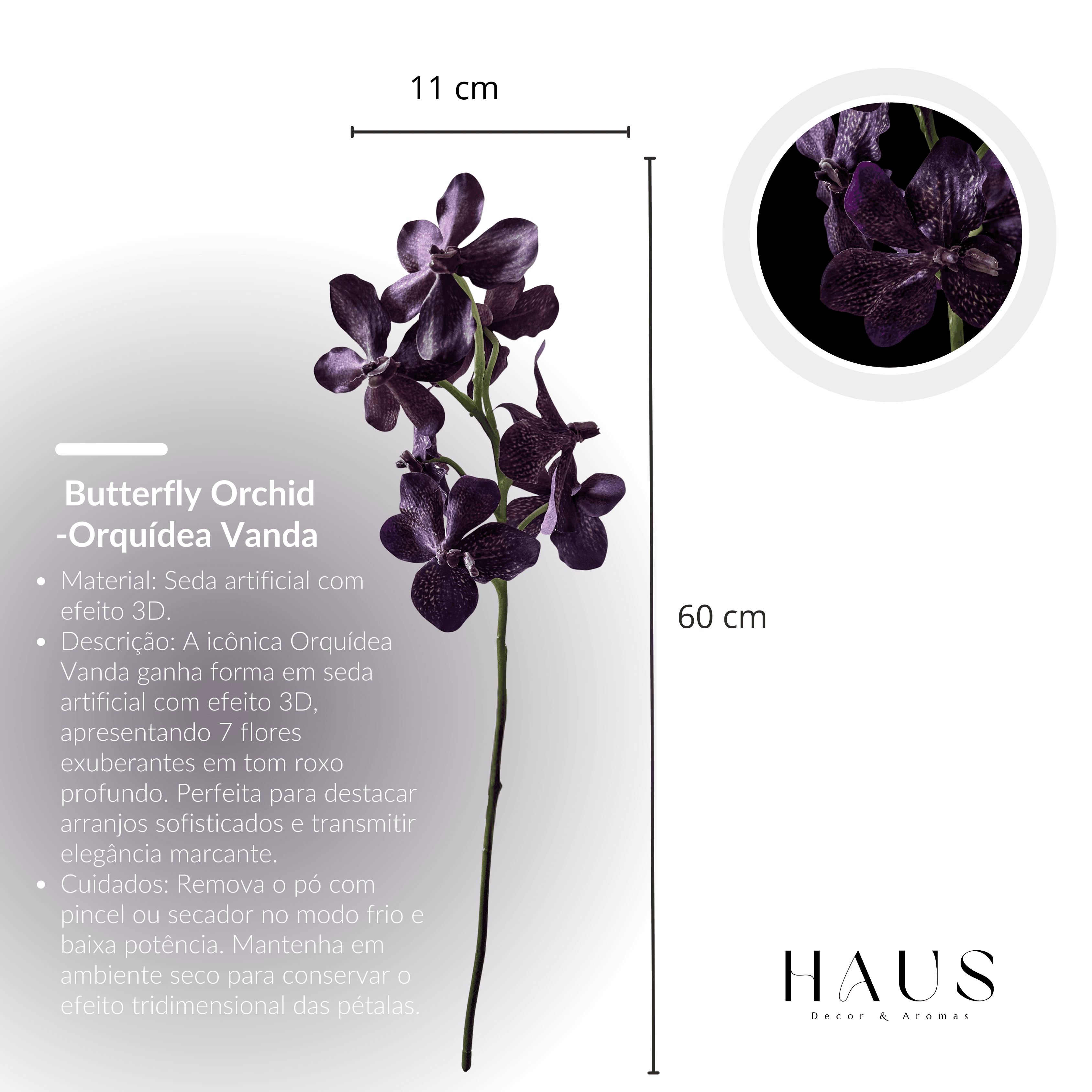 Orquidea Vanda miniatura 3