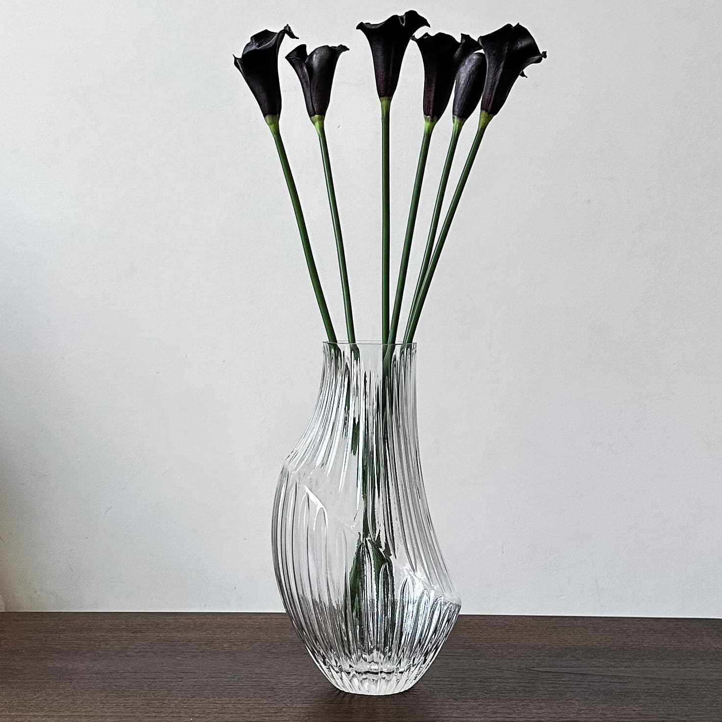 Copo de Leite Roxo Profundo miniatura 4