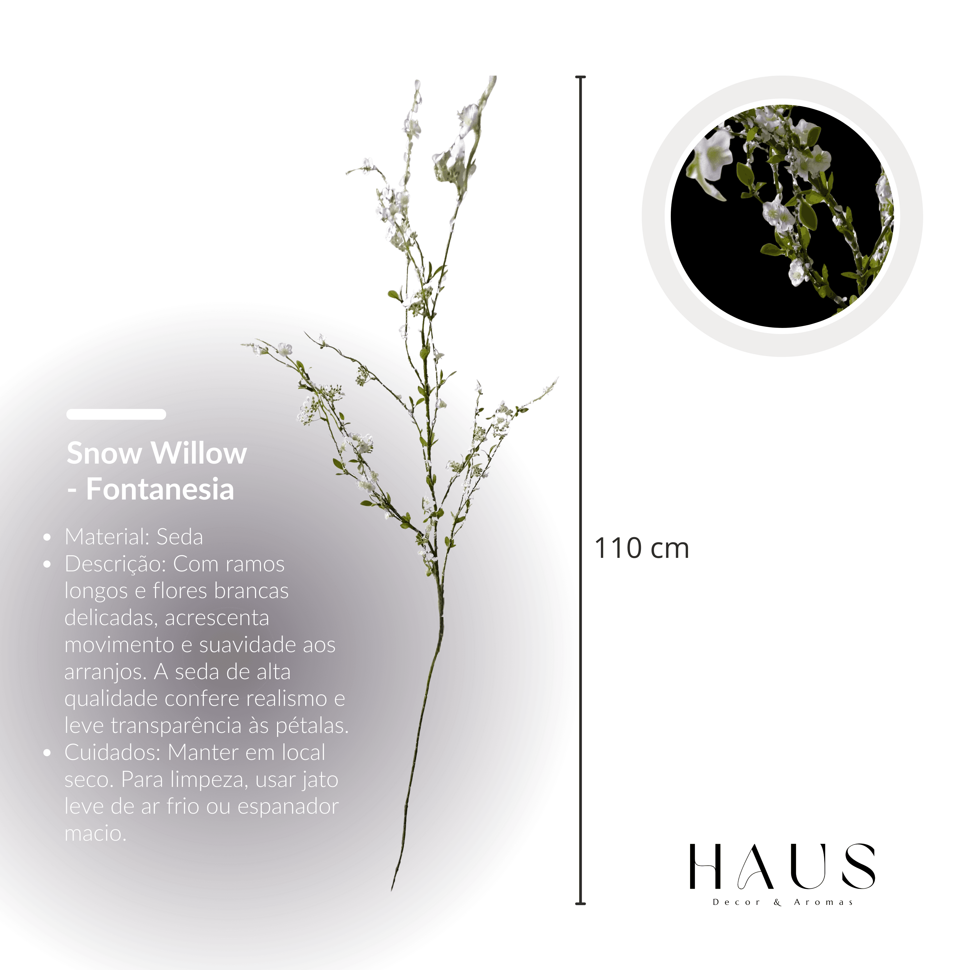 Fontanesia miniatura 3