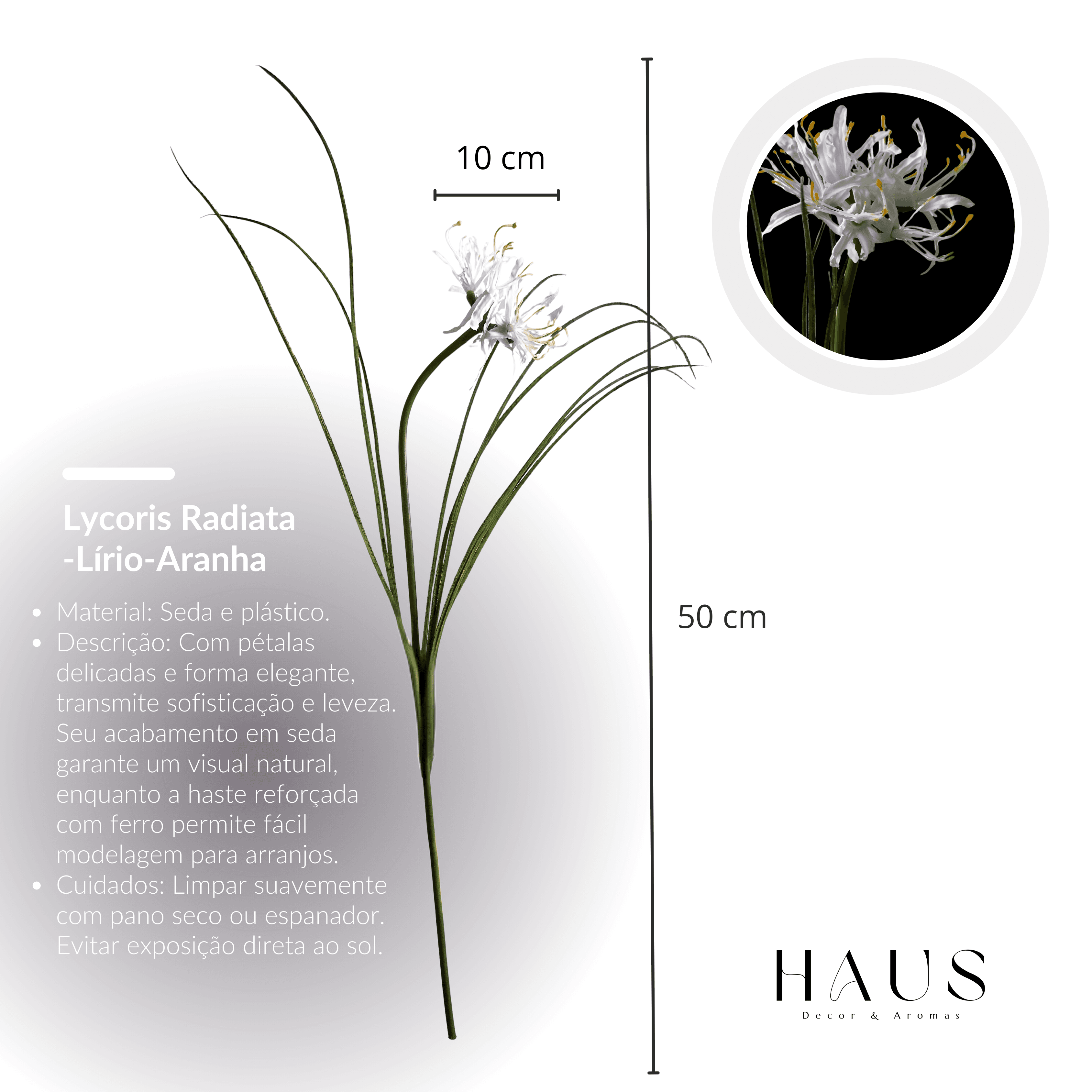 Lirio-Aranha miniatura 3