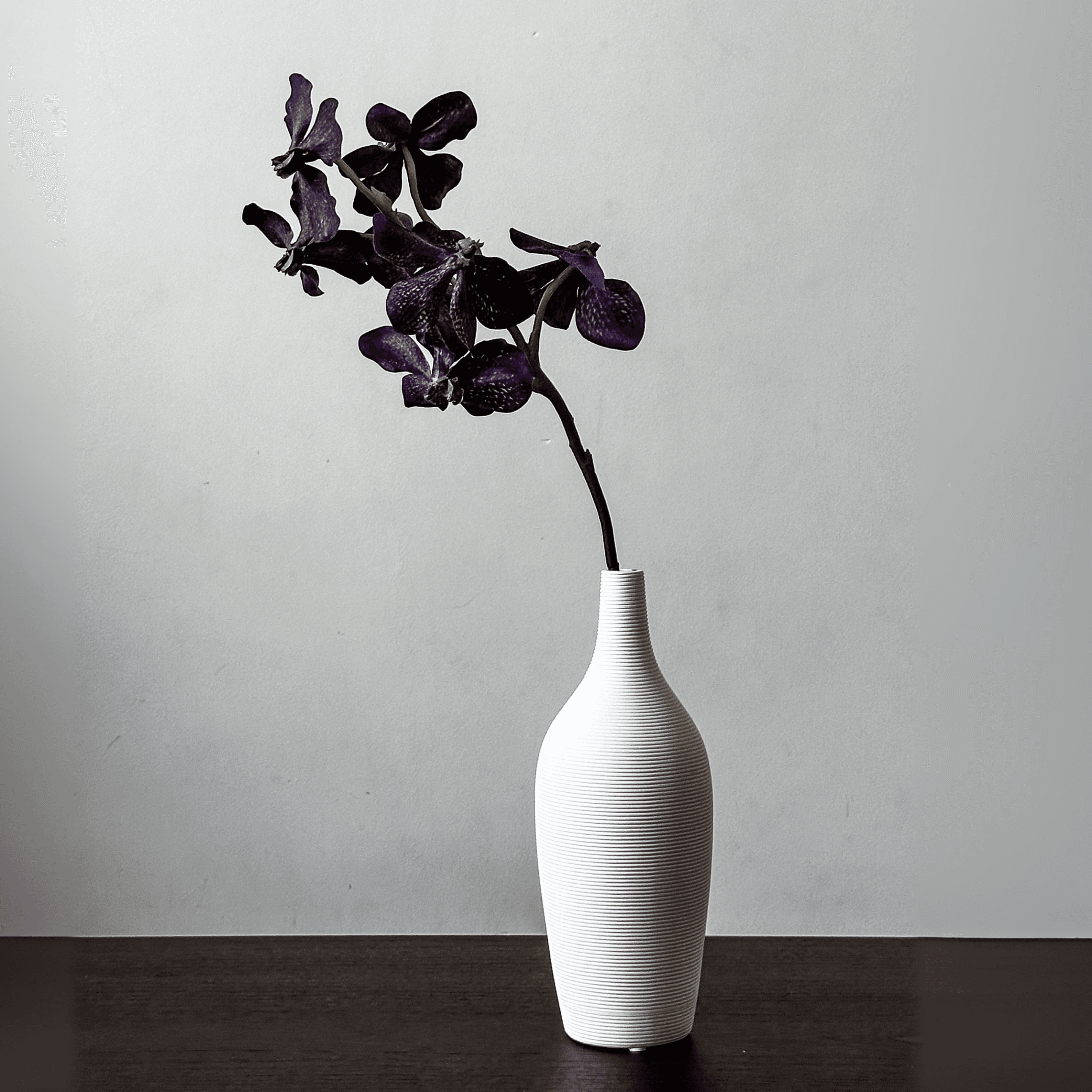 Vaso Ileos Branco miniatura 3