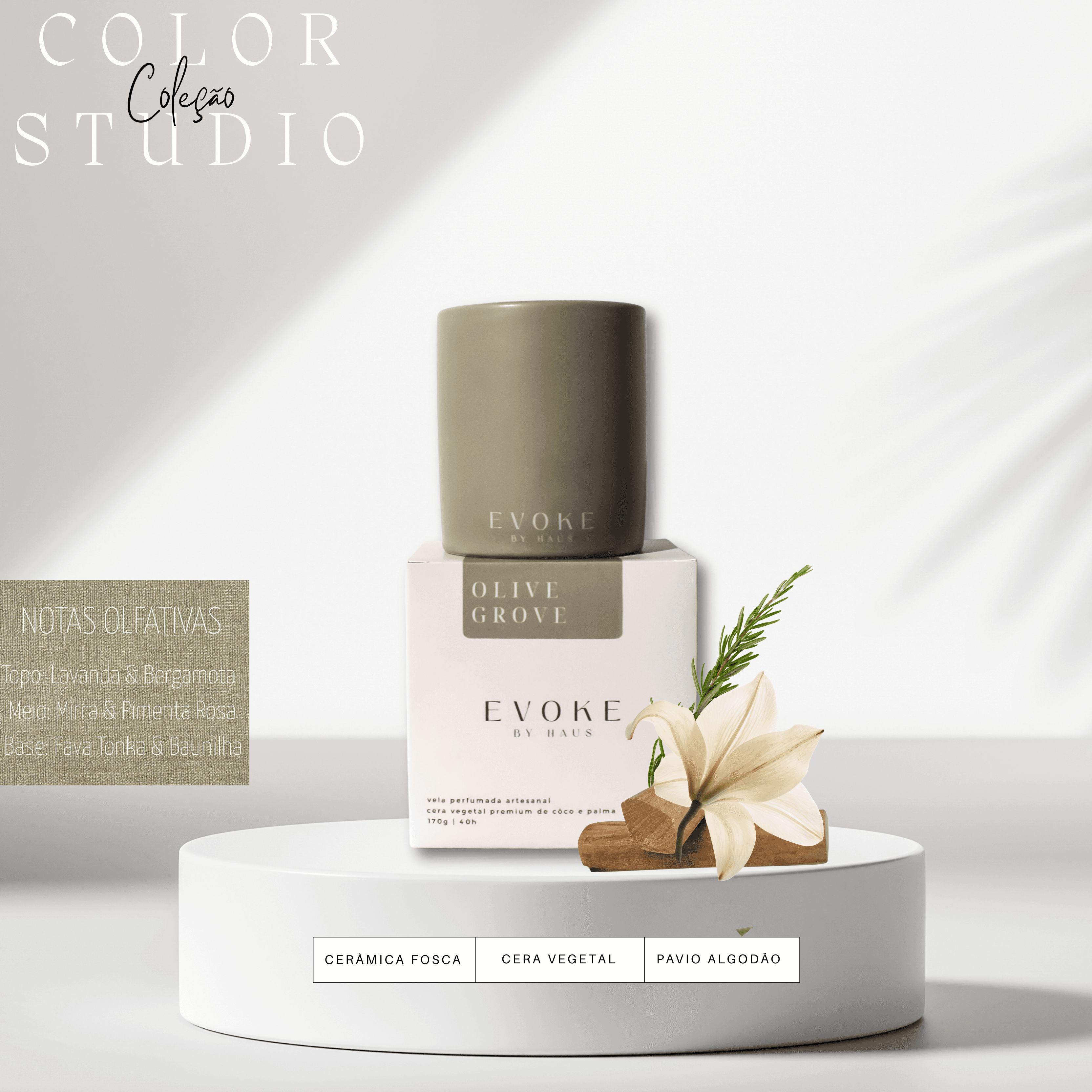 Olive Grove miniatura 4