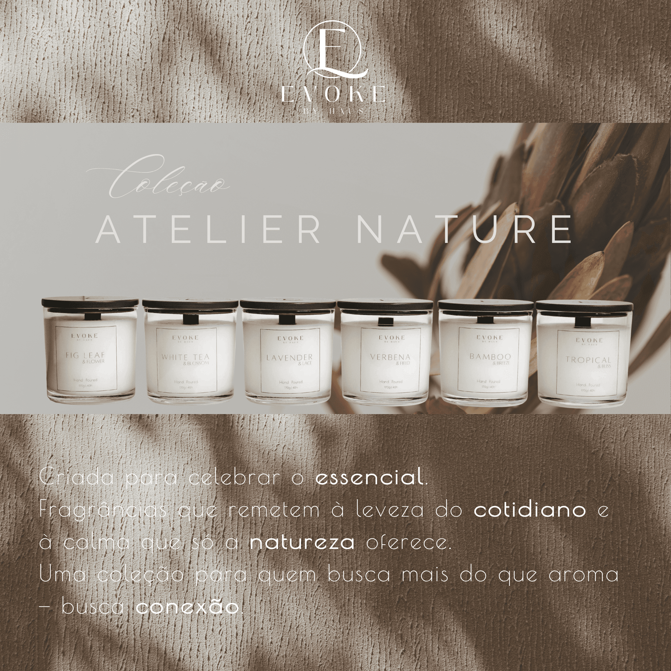 Lavanda Serenity miniatura 3